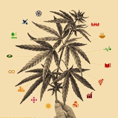 Cannabis Embassy