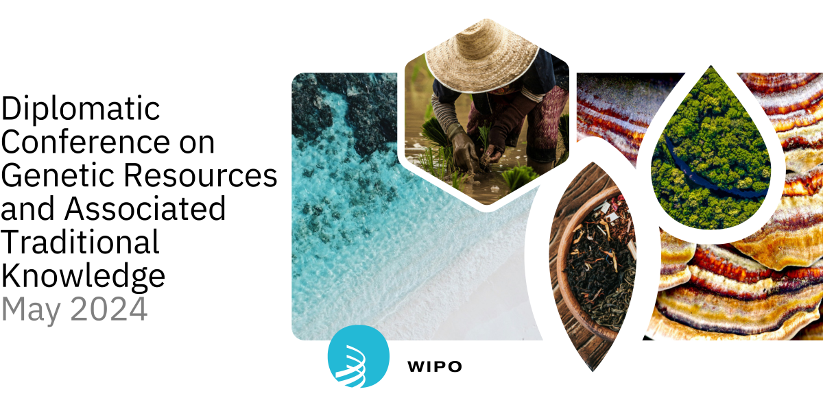 Cannabis Embassy | GRATK: Patenting Traditions – Why are plant rights activists going to Geneva in May?