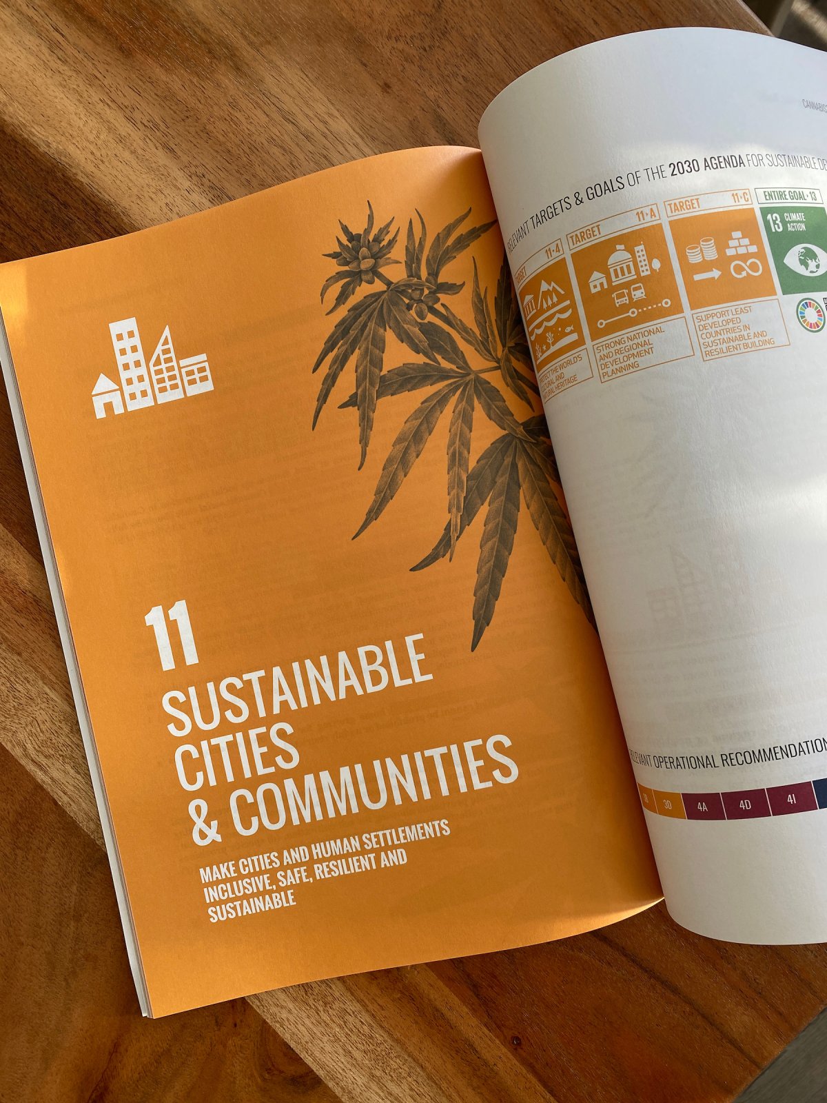 Cannabis Embassy | UN Nairobi NGO Conference / Summit of the Future