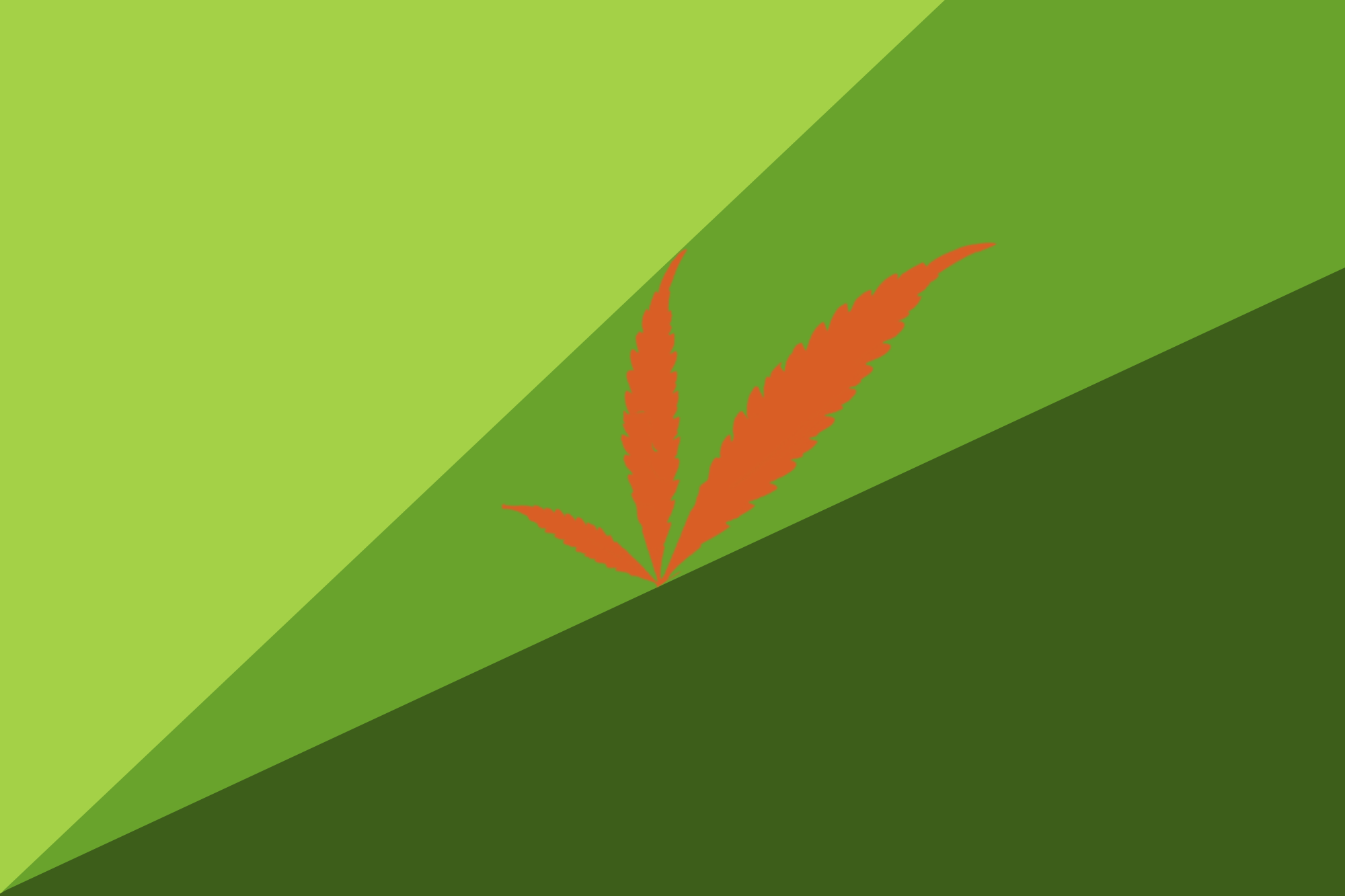 Flag of the Cannabis Embassy Flag of the Cannabis Embassy