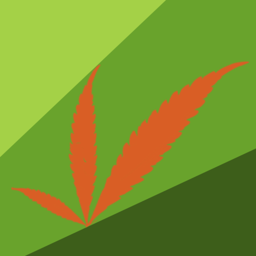 Cannabis Embassy